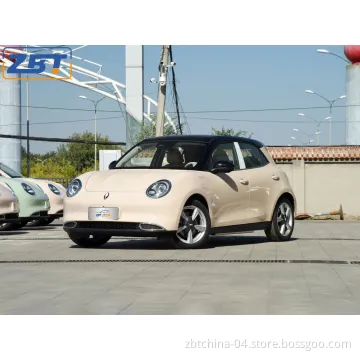 High Performance and Huge Discounts Small Car Gwm Ora Mini Electric Vehicle with Best Color